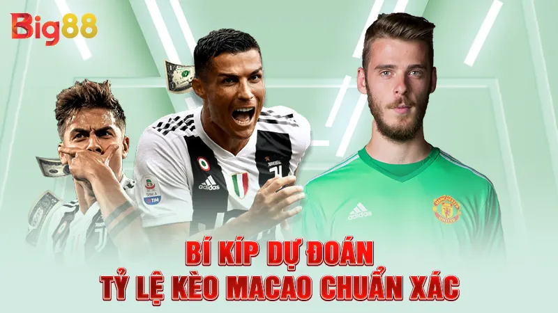 Bí kíp dự đoán tỷ lệ kèo Macao chuẩn xác